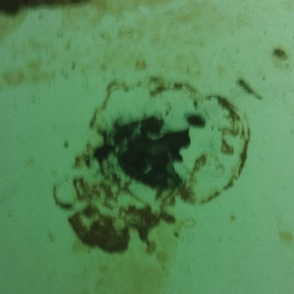 Mantenimiento y Limpieza de tanques y cisternas Tijuana Ensenada Mexicali Tecate